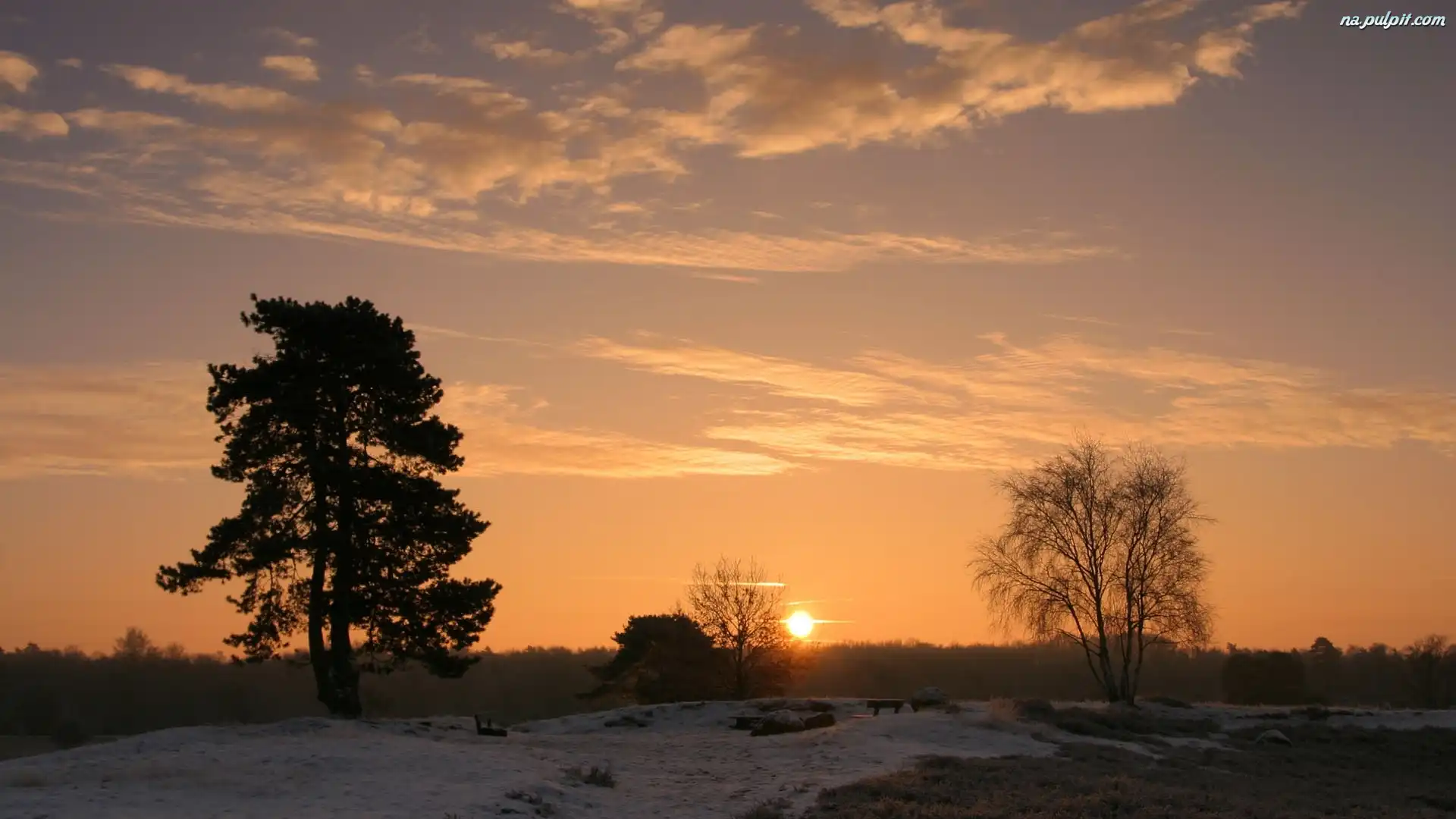 Śnieg, Słońca, Zachód, Drzewa