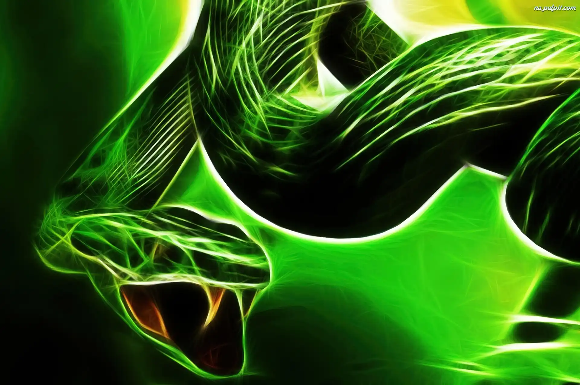 Grafika, Zielony, Wąż