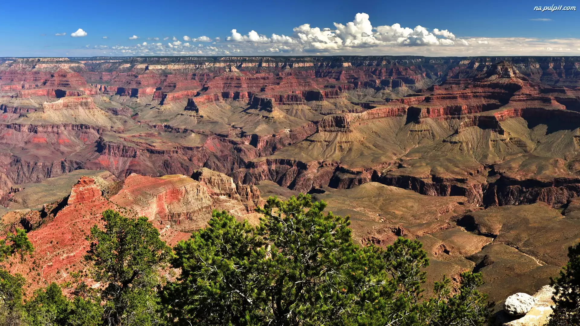 Kanion, Park Narodowy Wielkiego Kanionu, Góry, Stany Zjednoczone, Drzewa, Skały, Arizona, Grand Canyon National Park