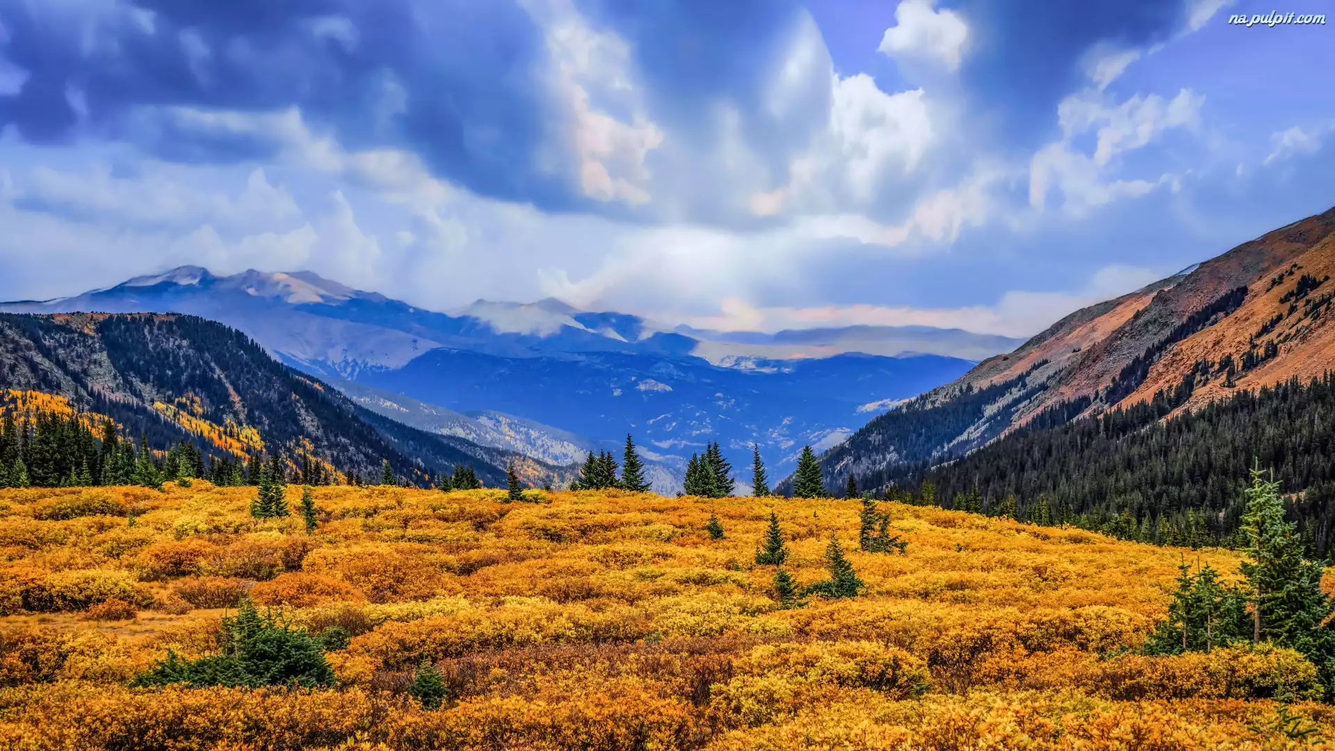 Niebo, Chmury, Kolorado, Góry, Polana, Guanella Pass Summit, Stany Zjednoczone, Drzewa, Las