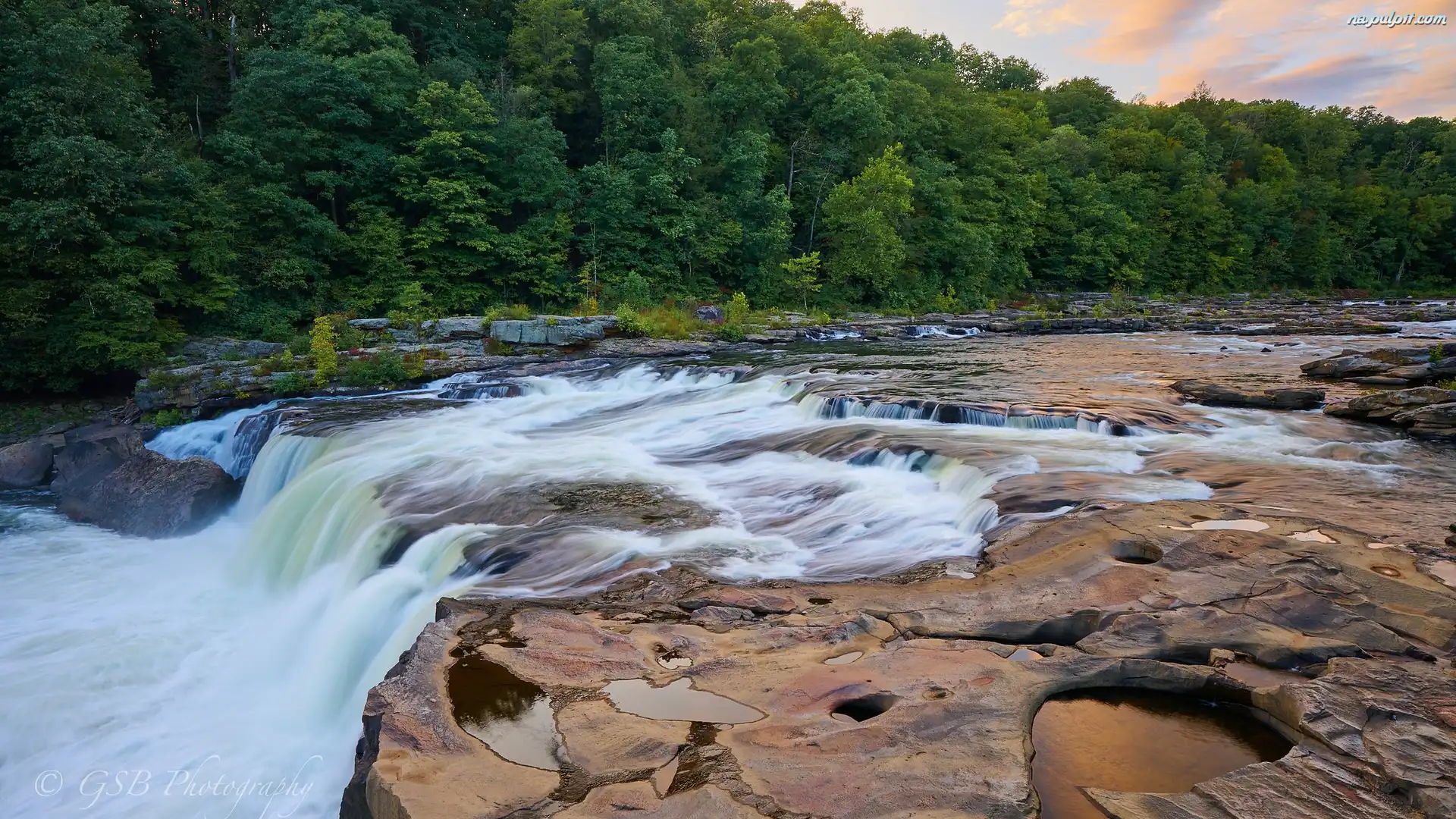 Rzeka, Drzewa, Youghiogheny River, Wodospad, Stany Zjednoczone, Pensylwania, Ohiopyle Falls, Las